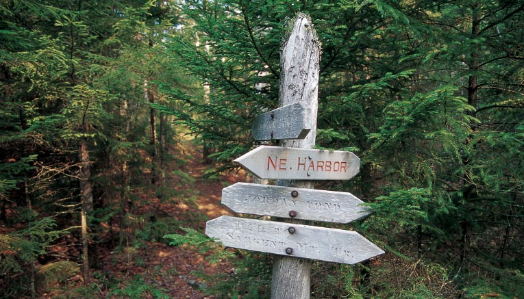Bmni-maine-biking-2